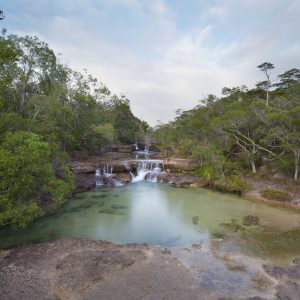 Cape York Peninsula, FNQ
