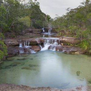 Cape York Peninsula, FNQ