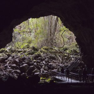 Undara Lava Tubes, FNQ
