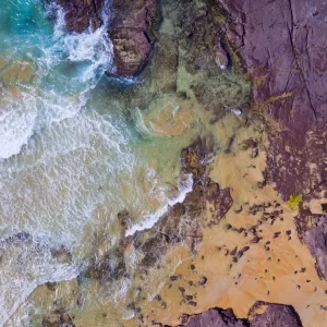 Bombo Beach, Kiama
