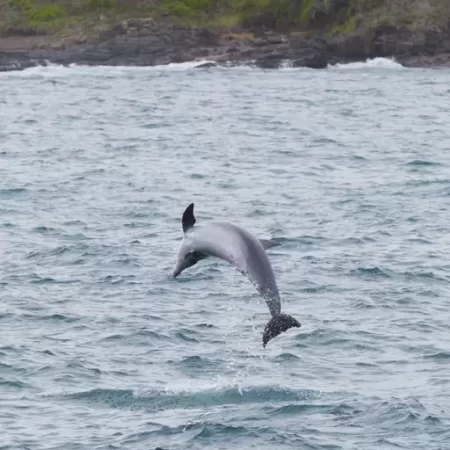 Kendalls Beach, Kiama