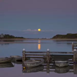 Minnamurra River