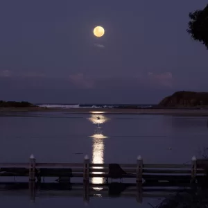 Minnamurra River