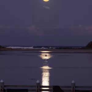 Minnamurra River