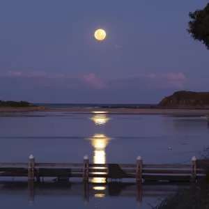 Minnamurra River