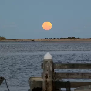 Minnamurra River