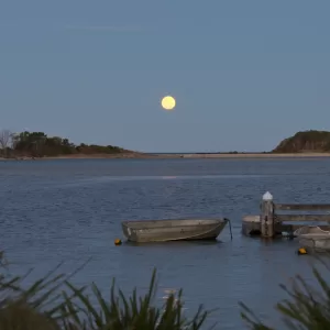 Minnamurra River