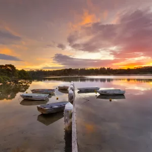 Minnamurra River