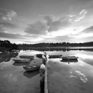 Minnamurra River