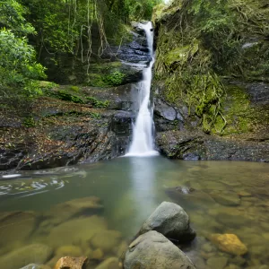 Cascade Falls, Macquarie Pass