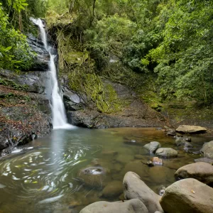 Cascade Falls, Macquarie Pass