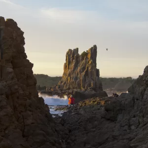 Cathedral Rocks, Kiama Downs