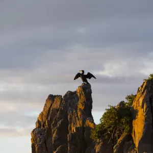 Cathedral Rocks, Kiama Downs