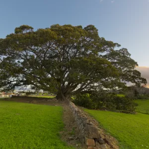 Swamp Road, Jamberoo