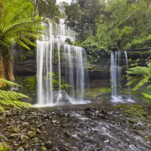 Russell Falls, Tasmania