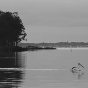 Kanahooka, NSW