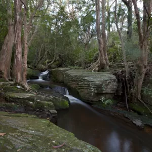 Helensburgh, NSW
