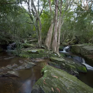 Helensburgh, NSW