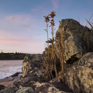 Easts Beach, Kiama