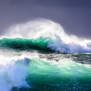 Ocean Reset