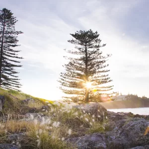 Blowhole Point Rock Pool, Kiama NSW