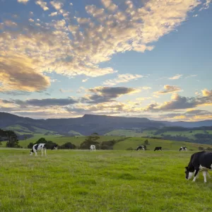 Jamberoo, NSW