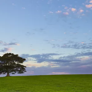Jamberoo, NSW