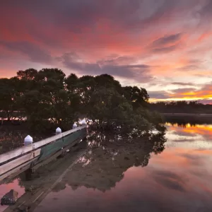 Minnamurra River, NSW