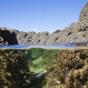 Minnamurra River, NSW
