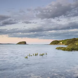 Minnamurra River, NSW