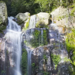 Minnamurra Falls