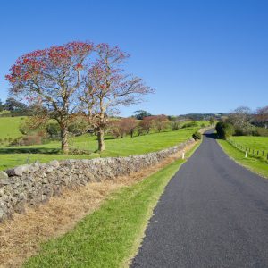 Old Saddleback Rd, Kiama NSW