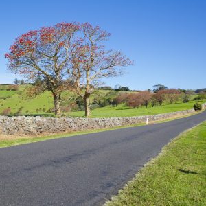 Old Saddleback Rd, Kiama NSW