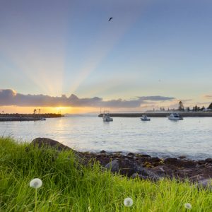 Shellharbour, NSW
