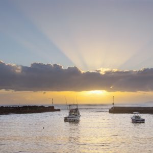 Shellharbour, NSW