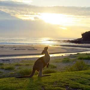 Hop into your new day