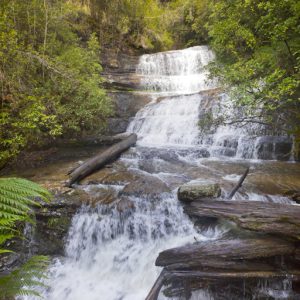 Lady Barron Falls, Tasmania