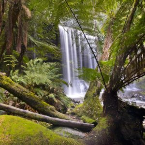 Russell Falls, Tasmania