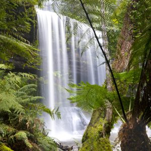 Russell Falls, Tasmania
