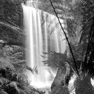 Russell Falls, Tasmania