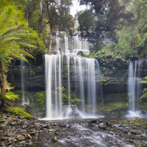 Russell Falls, Tasmania