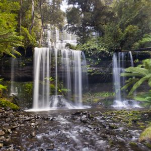 Russell Falls, Tasmania