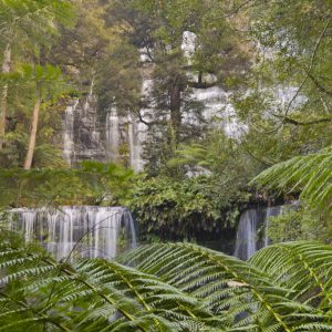 Russell Falls, Tasmania