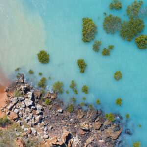 Colouful Coastline